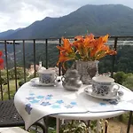 Liliana Faggeto Lario