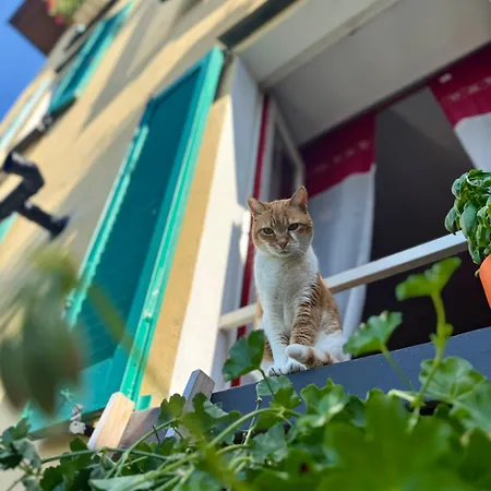 Casa vacanze Liliana