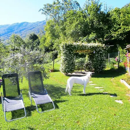 Liliana Casa vacanze Faggeto Lario