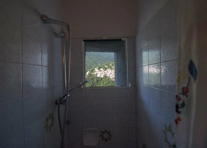 Liliana Фаджето-Ларио