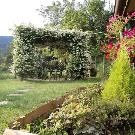 Liliana Faggeto Lario