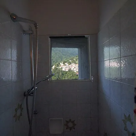 Liliana Faggeto Lario